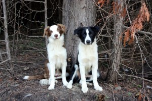Pi and Cassy